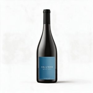 VINO TINTO CIEL & TERRE 750 ML