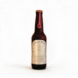 KOMBUCHA MAMMA 355 ML JAMAICA/CANELA