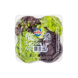 LECHUGA BABY GOURMET 4 PZAS MR. LUCKY